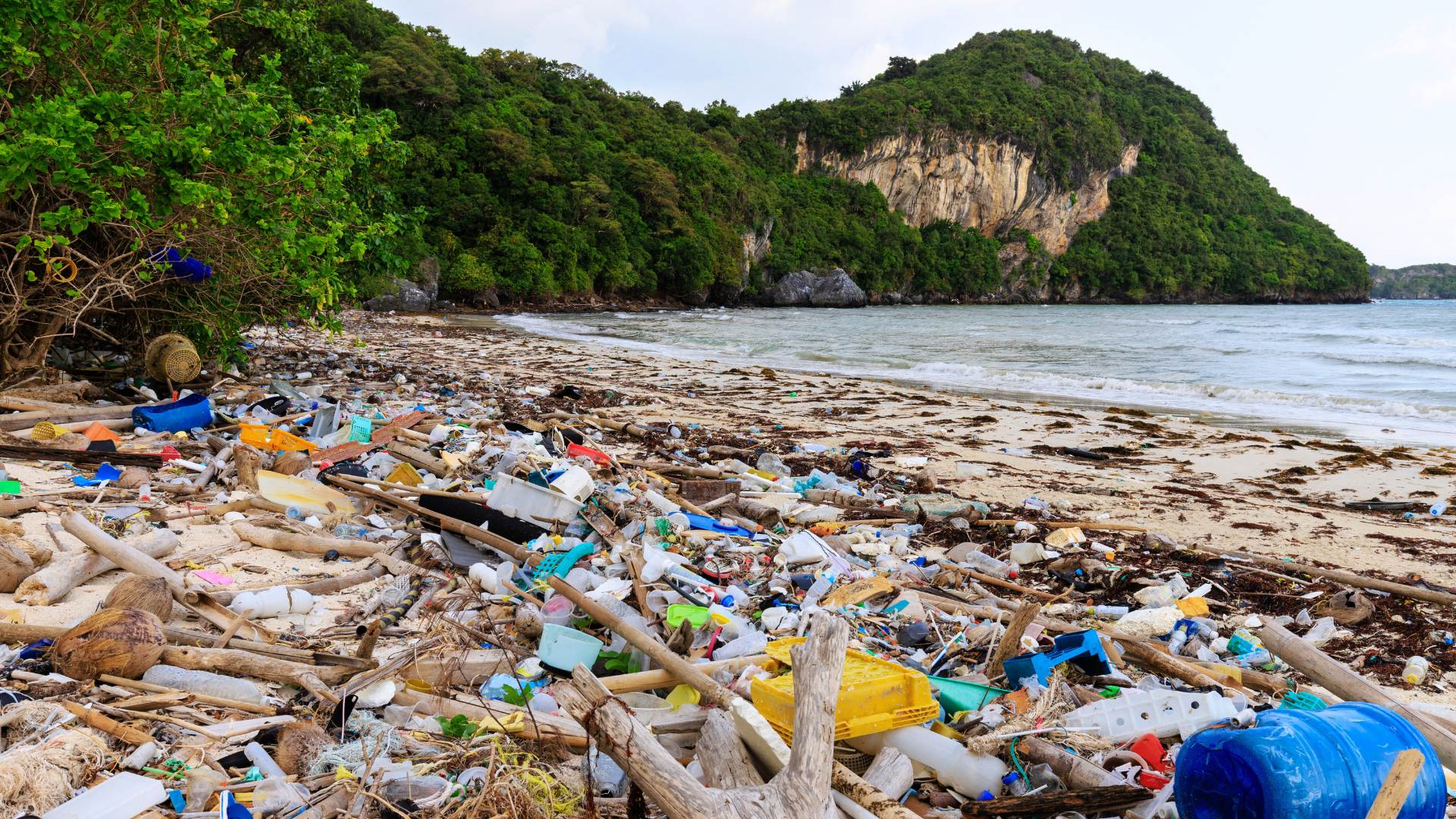 Aktion von everwave zum World Earth Day